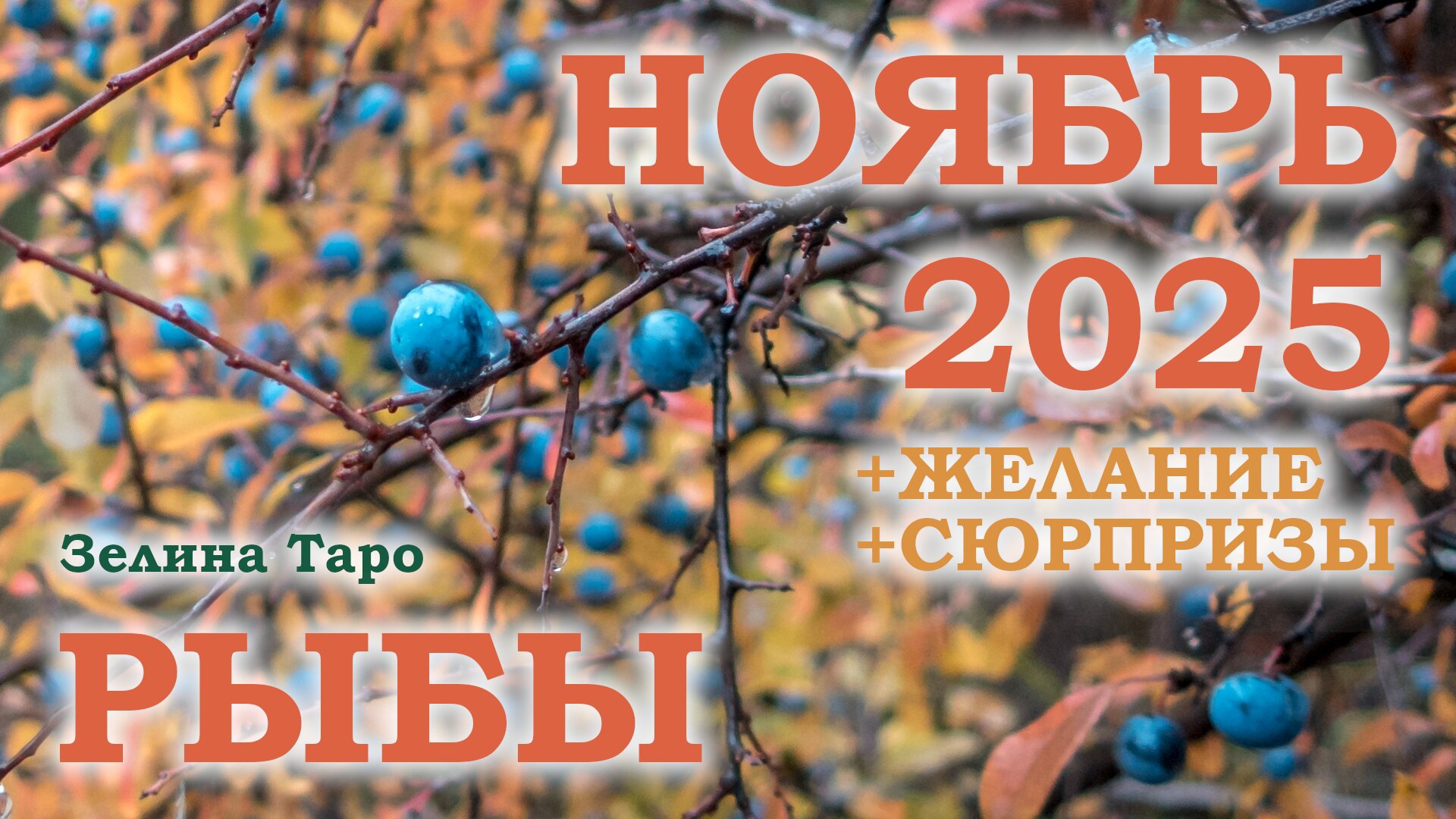 РЫБЫ | ТАРО прогноз на НОЯБРЬ 2025 года | Желание | Сюрпризы | Расклад таро смотреть онлайн