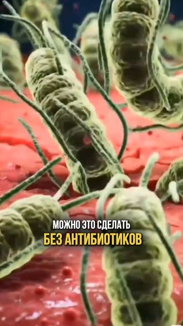 Как поднять ферритин? смотреть онлайн