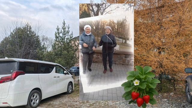 Не ягодка🍓 смотреть онлайн