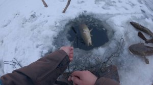 ПЕРЕМЕТ | ПРОВЕРКА 25.10.2025