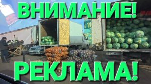 Обзор от 25 октября 2025 года. Помидоры, шампики... 😄