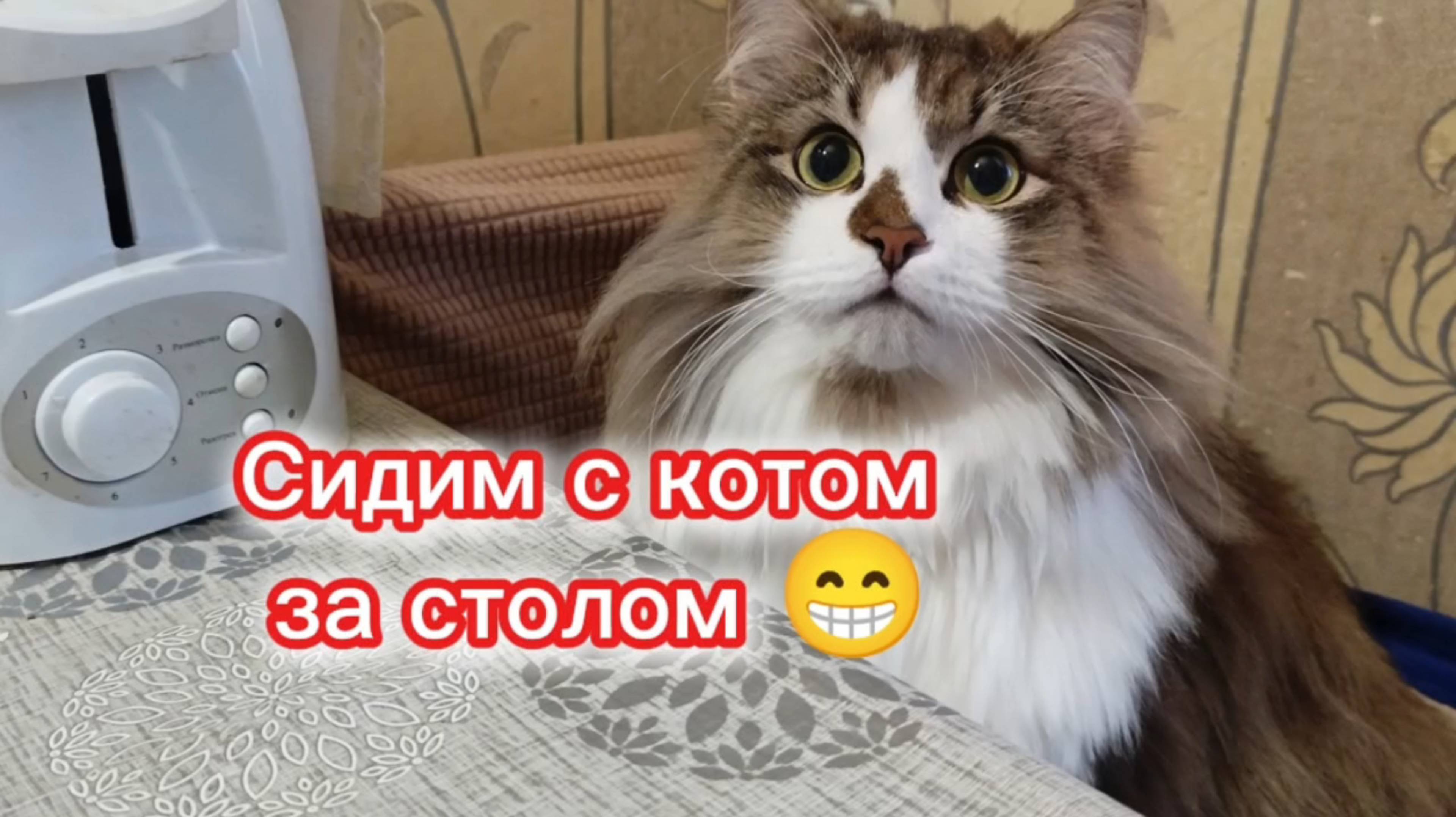 Прикольная озвучка. смотреть онлайн