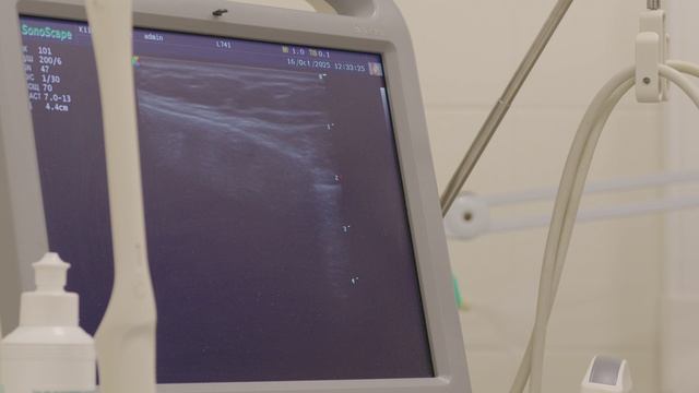 Эксперт РМЖc смотреть онлайн