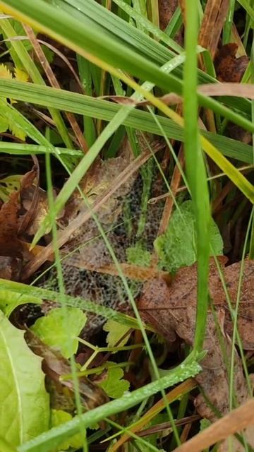 Резиденция художников. Подготовка к зиме.