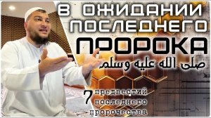 В ожидании последнего Пророка («7 предвестий пророчества»)