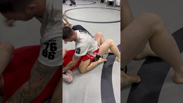 БЖЖ 21 октября 2025 3 схватка