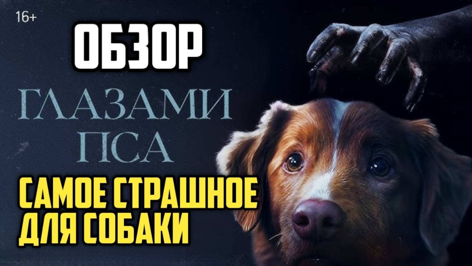 Глазами пса. Обзор. Самое страшное для собаки смотреть онлайн