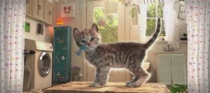 Кошачья планета