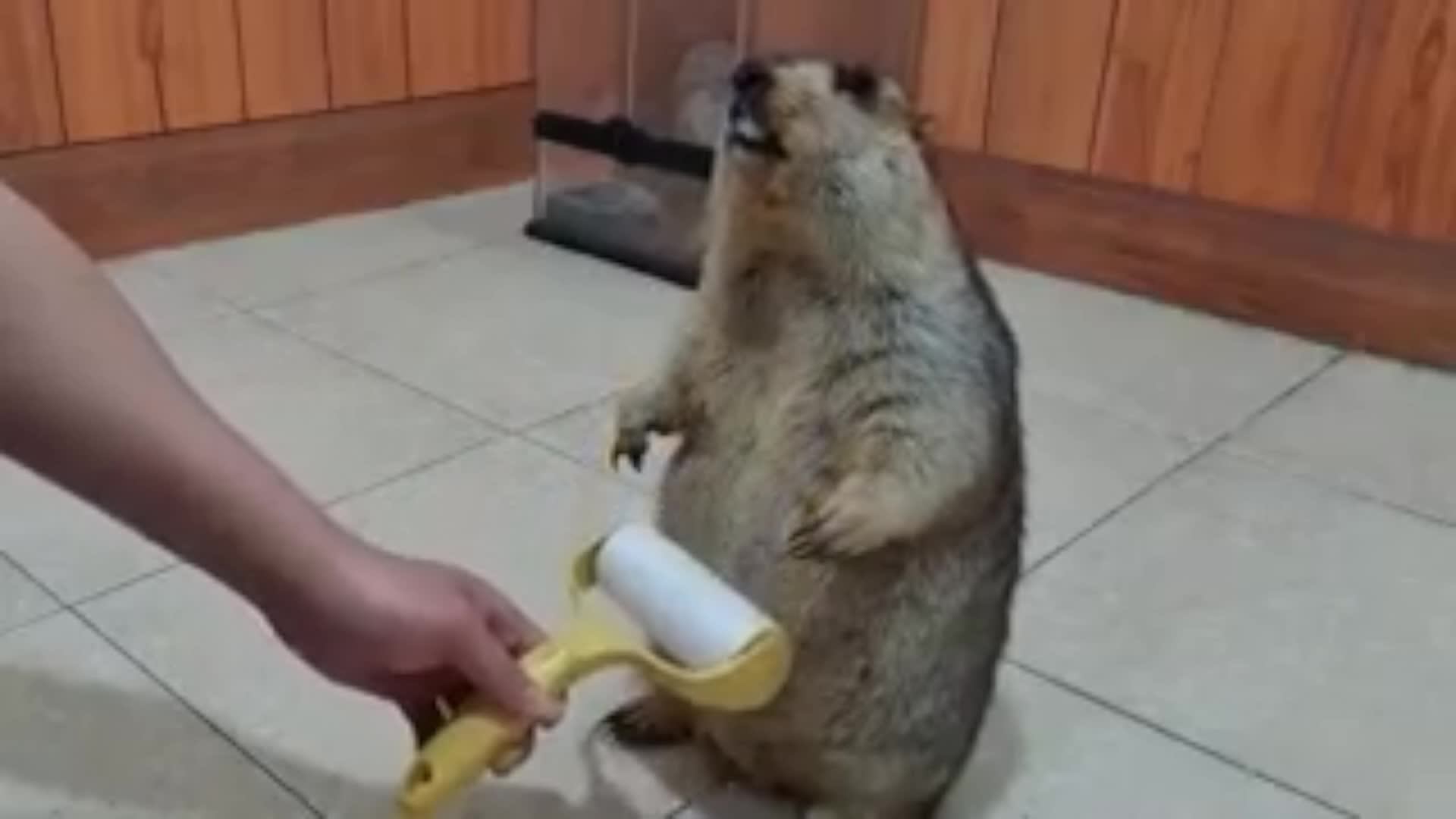 Играем в Portal 2