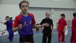 Кубок России по ушу. Турнир по ушу «Связь поколений» 2025 г.