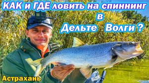 ЛОВЛЯ ХИЩНИКА В ДЕЛЬТЕ ВОЛГИ/РЫБАЛКА НА СПИННИНГ/ЛОВЛЯ ЖЕРЕХА,ОКУНЯ И ЩУКИ/АСТРАХАНЬ/ОСЕНЬ 2025