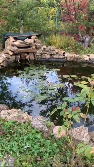 водоём на  даче. оформление арт бетон. мастерская Котлярова.