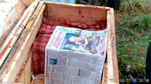 Пасека 26 октября, важный момент перед зимовкой пчëл