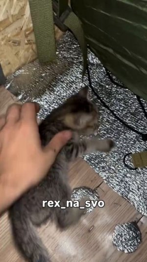 СВО👉ТЕЛЕГРАММ👈