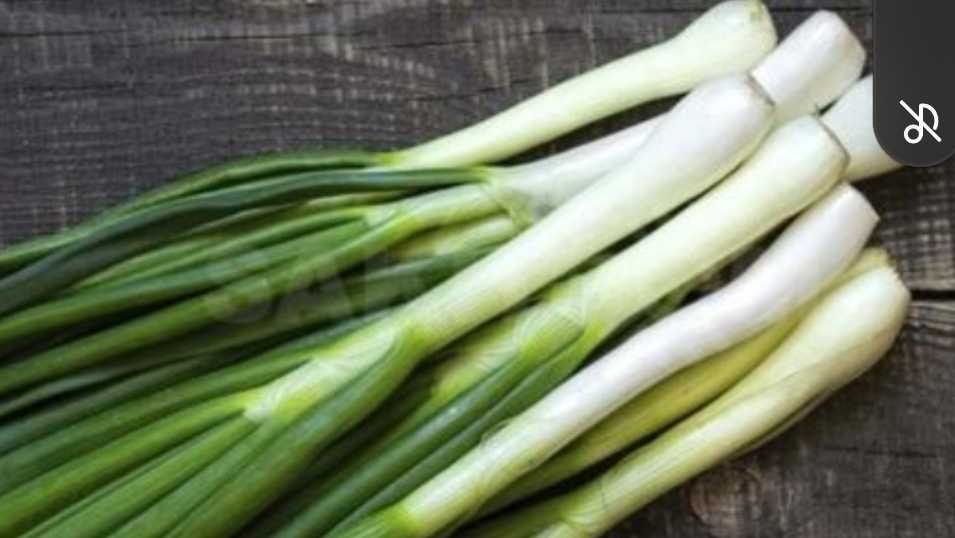 КАК ПРАВИЛЬНО ВЫБРАТЬ СОРТ ЛУКА ДЛЯ ЗЕЛЕНИ смотреть онлайн