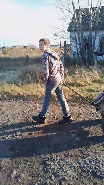 🐺 смотреть онлайн