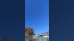 г. Мариупольские .Дедовские голуби