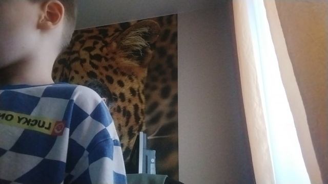 мой стрим просто так смотреть онлайн
