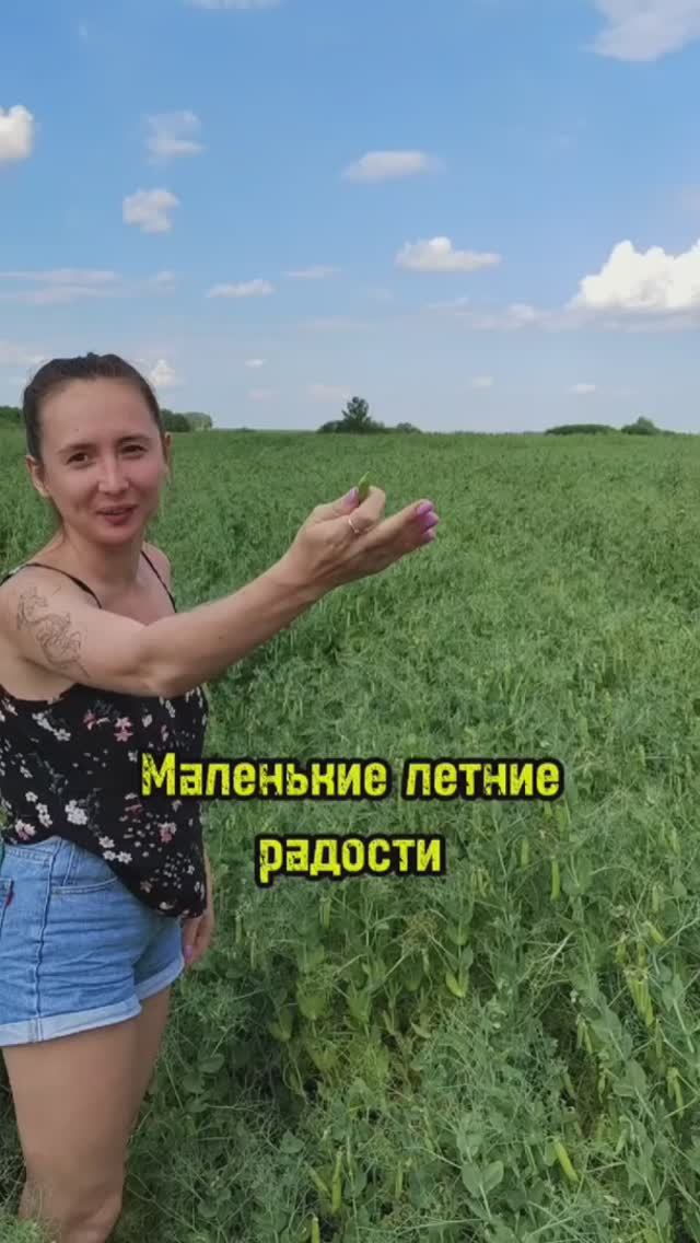 Маленькие летние радости путешествий смотреть онлайн