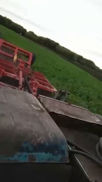 ПРЯМО ИЗ ТРАКТОРА ОТЗЫВ НАШЕГО ДОРОГОГО КЛИЕНТА ⭐♥️⭐💛⭐🩵⭐🧡⭐💙