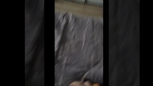 Маша и и Медведь Осторожно ремонт  23.