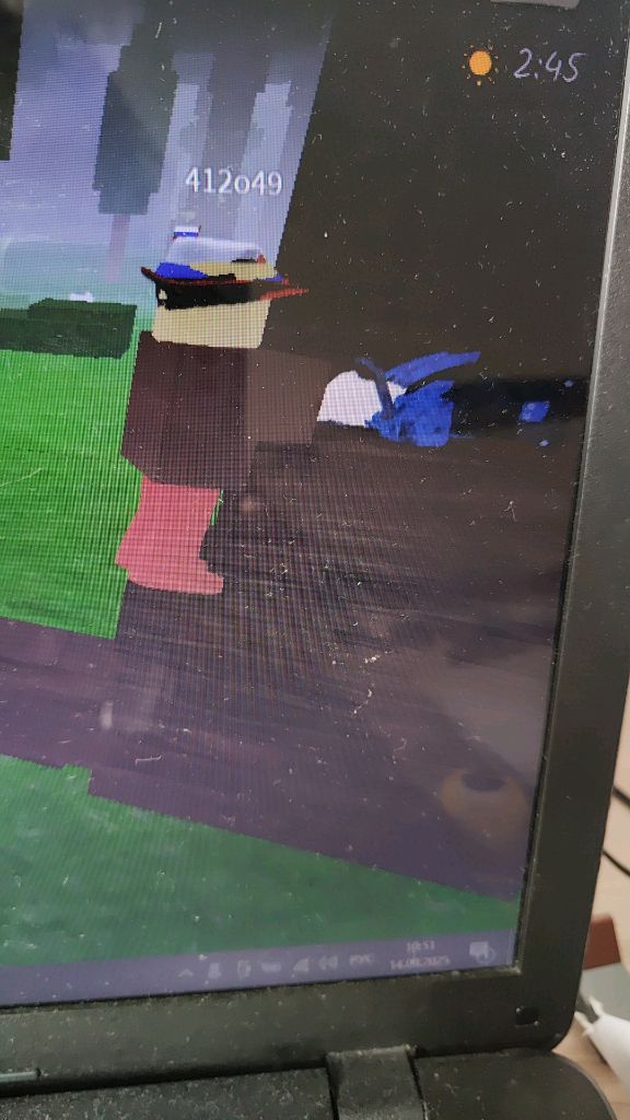 играю с парнем в создатель сущностель.