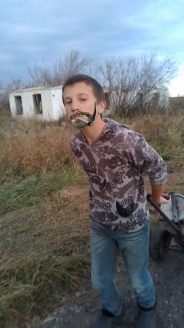 степаныч смотреть онлайн