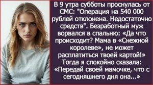 ИСТОРИЯ ИЗ ЖИЗНИ/Мама в "Снежной Королеве", не может расплатиться твоей картой,- заявил муж