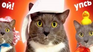 КОТИКИ В ШКОЛЕ - БУМАЖКИН       ПЕРЕЗАЛИВ  KOTINET