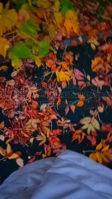 Видео только для 9 человек, как взрослому самостоятельно избавиться от картавости... смотреть онлайн