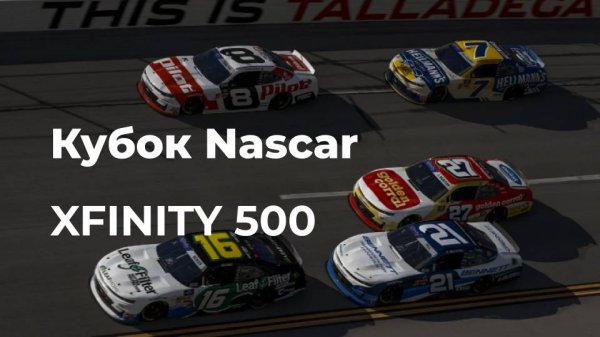 Кубок Nascar: Xfinity 500