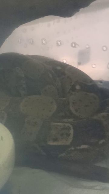 Наша погода 25 октября 2025 г. смотреть онлайн