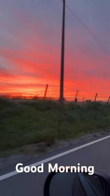 Красивый восход солнца смотреть онлайн