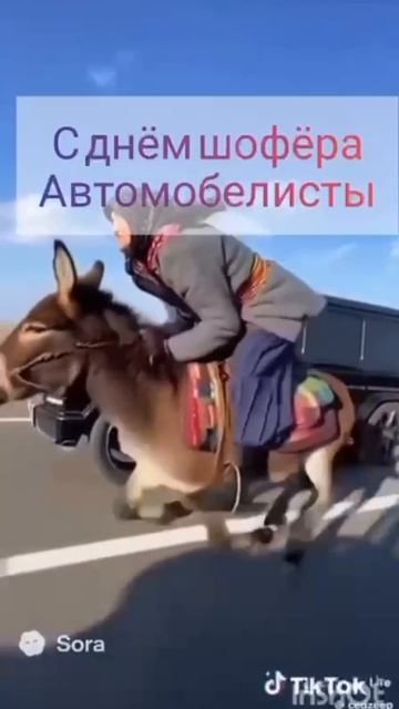 С днём шофёра! смотреть онлайн