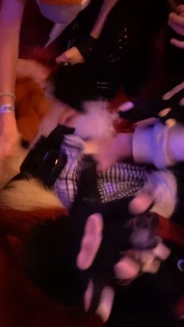 Twitch: EricMyval Фурри пленник смотреть онлайн