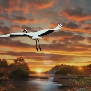 Поэт Максим Непомнящих. Песня "Улетают журавли"