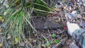 Металлокоп ⚙ Хорошие находки в копилку!!!