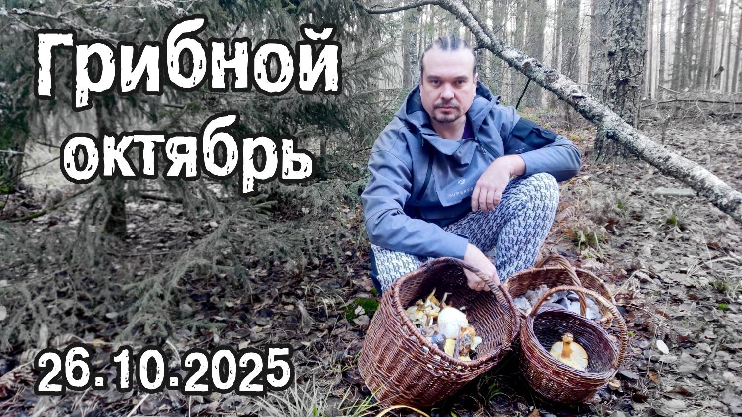 Грибной октябрь. 26.10.2025