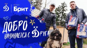 Добро начинается с друга 🐶