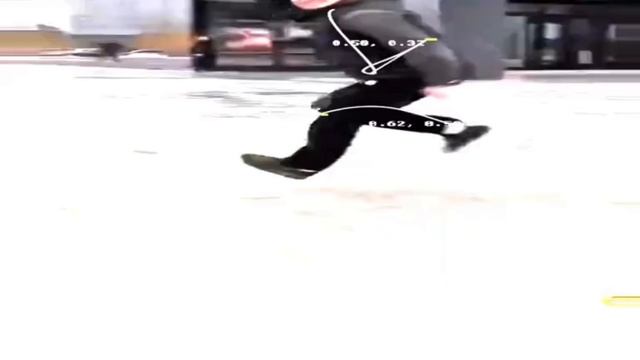 Вова сабака