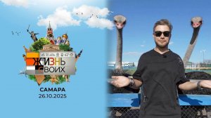 Самара. Жизнь своих. Выпуск от 26.10.2025