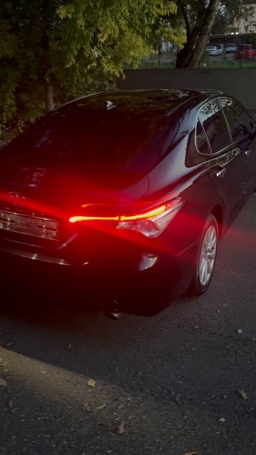 Изысканный-Деловой Аристократ.