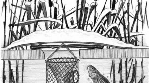 установка морды на ондатру, в хатку зимой.