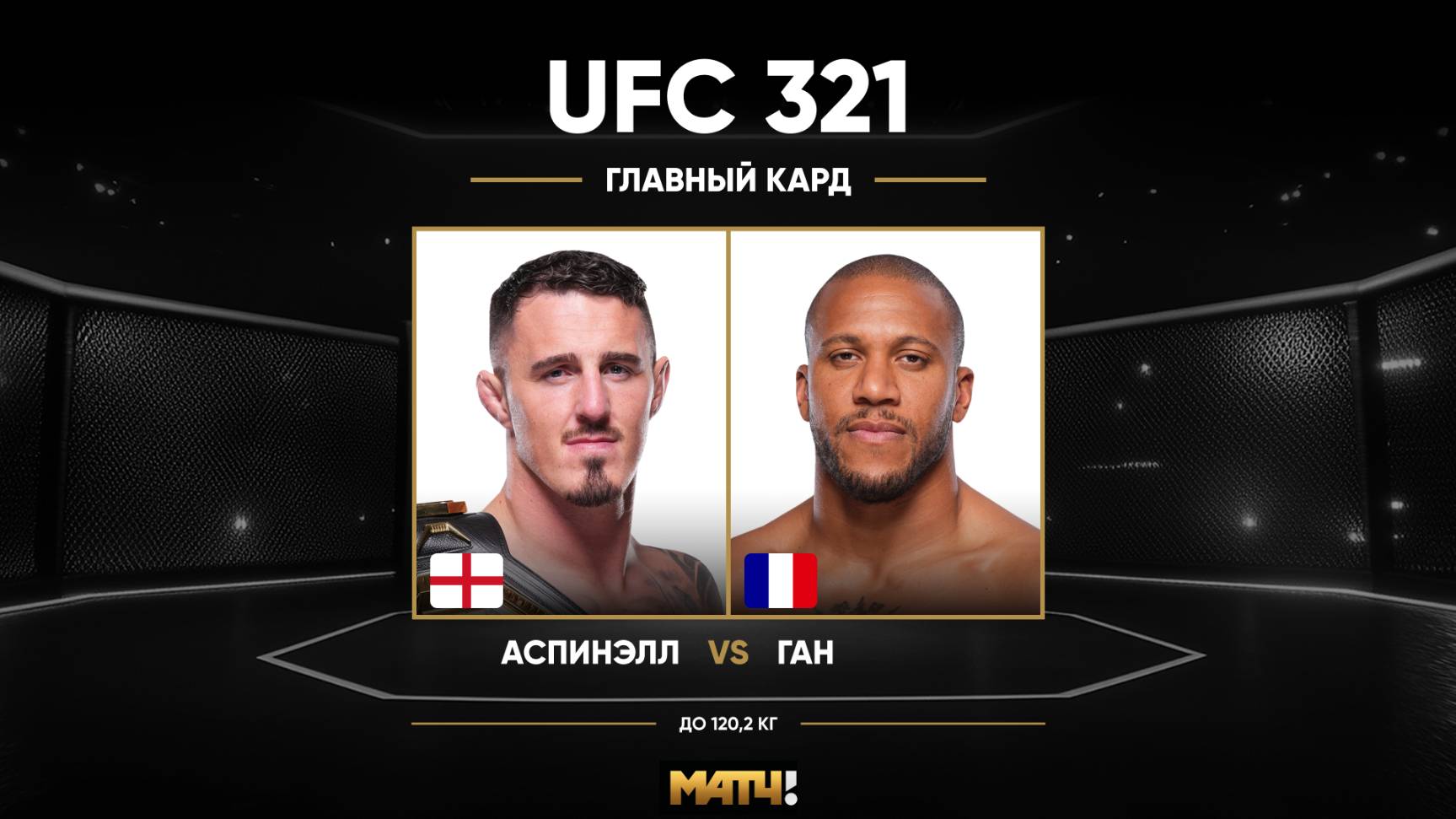 Том Аспинэлл против Сирила Гана (видео). UFC 321 смотреть онлайн