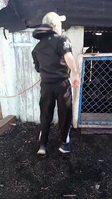 Макс танцует смотреть онлайн