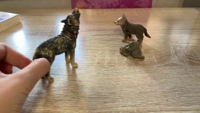 Брода сериала