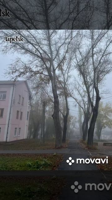 Липецк, осень, туманное утро.mp4