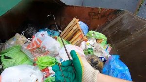 зарабатываю_лазая_по_мусоркам_Питера_Dumpster_Diving_RUSSIA#2
