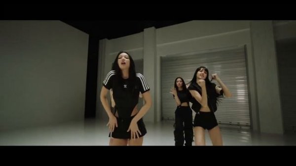 blackpink "shut down" dance practice mirrored