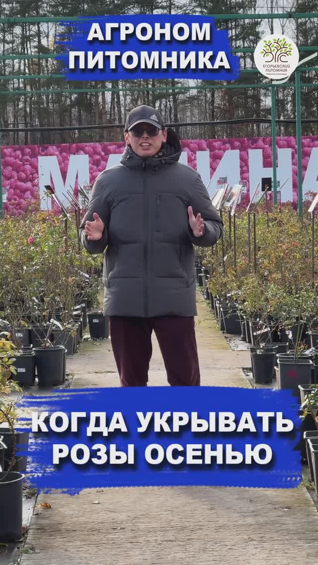 КОГДА УКРЫВАТЬ РОЗЫ смотреть онлайн